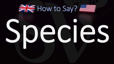 how do you pronounce zoologist|correct pronunciation of species.